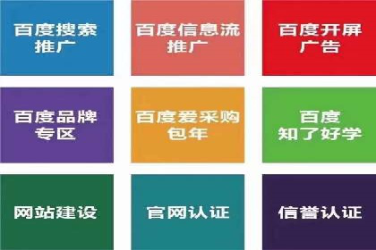 行业标杆：某信息流广告公司的成功投放策略